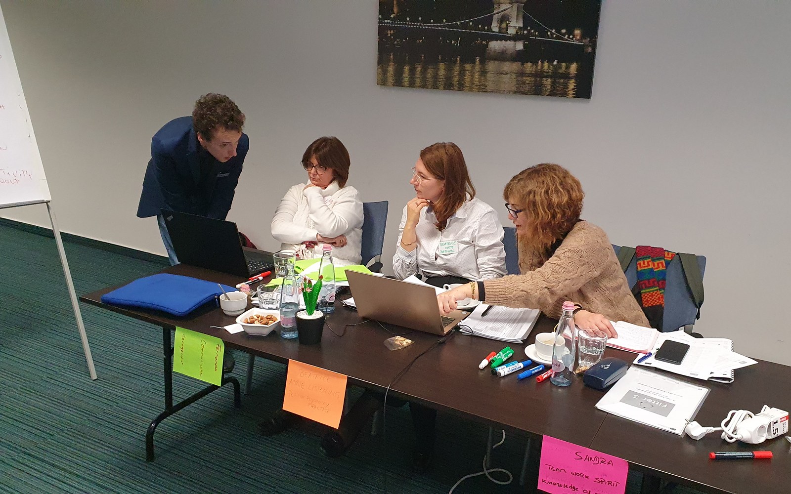 F3 partners collaborating on the work plan during the Budapest meeting